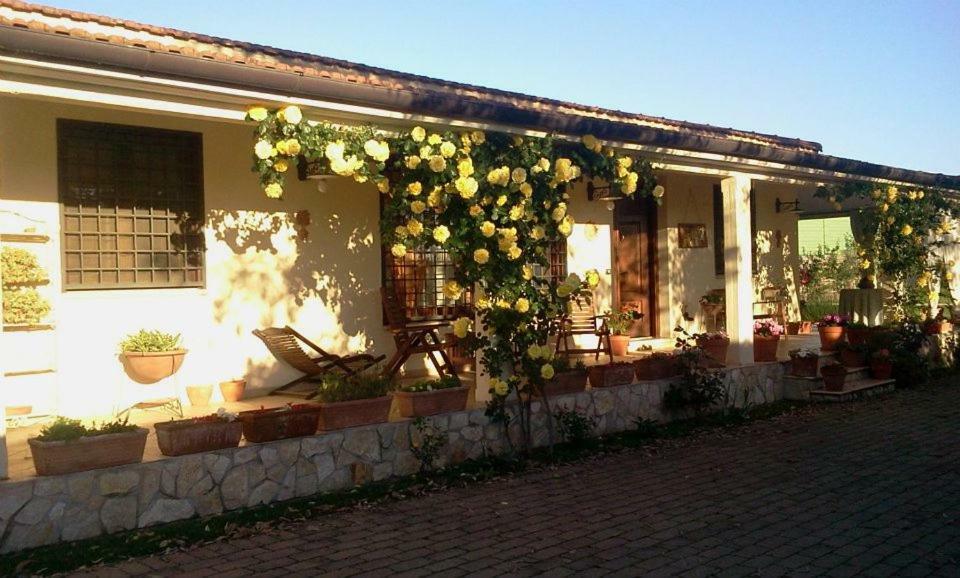 B&B Rolu Formello Dış mekan fotoğraf