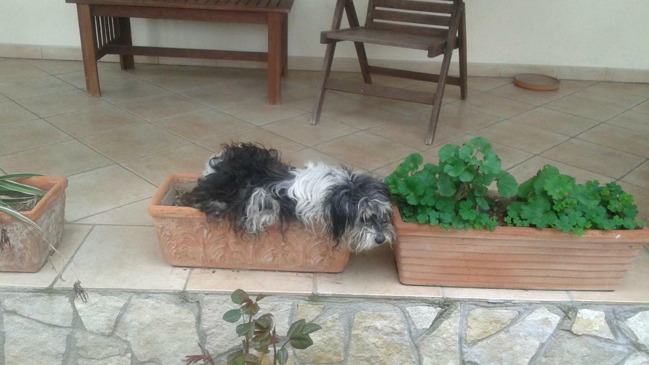 B&B Rolu Formello Dış mekan fotoğraf