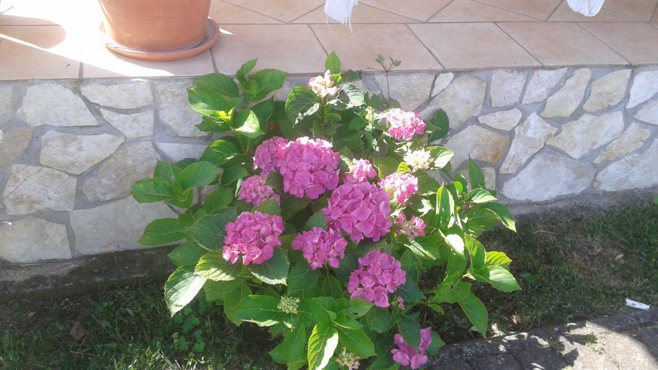B&B Rolu Formello Dış mekan fotoğraf