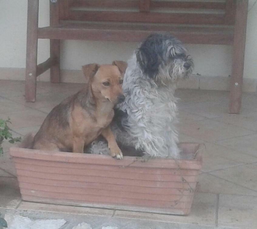 B&B Rolu Formello Dış mekan fotoğraf